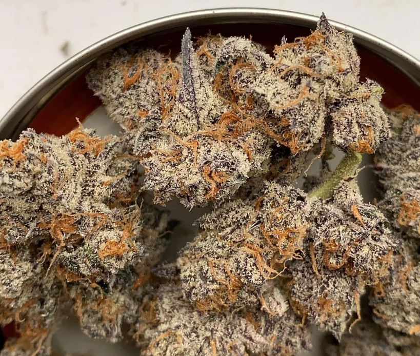 TagalongZ #9 x Super Buff Cherry #26 - Alternate image