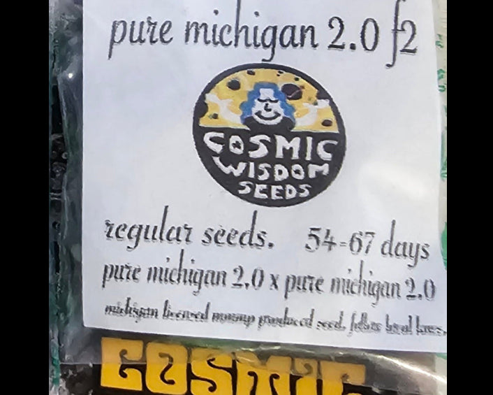 Pure Michigan 2.0 F2 - Cosmic Wisdom Seeds - 10+ Photo Regs