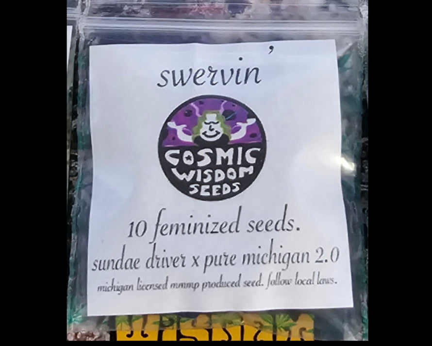 Swervin' - Cosmic Wisdom Seeds - 10+ Photo Fems