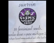 Swervin' - Cosmic Wisdom Seeds - 10+ Photo Fems