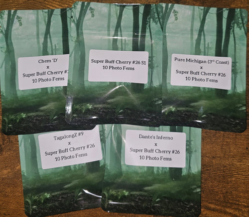 Pick 2 packs plus freebie bundle of Force of Nature Genetics feminized cannabis seed packs