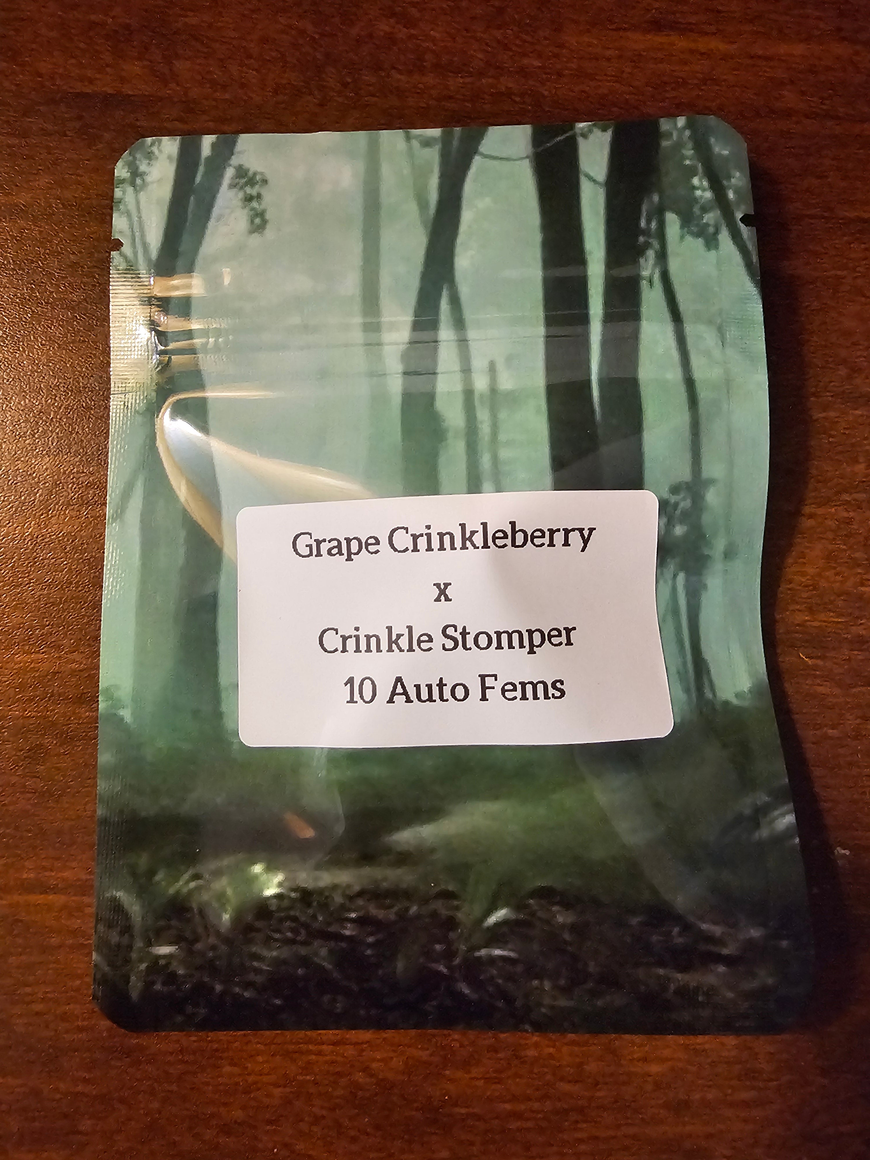 Grape Crinkleberry x Crinkle Stomper - AUTO FEMINIZED