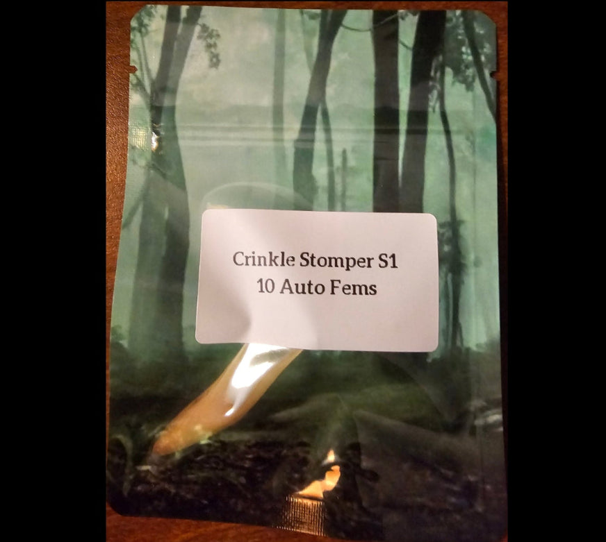 Build Your Own Combo! - 4 packs of your choice (40+ FEMS)