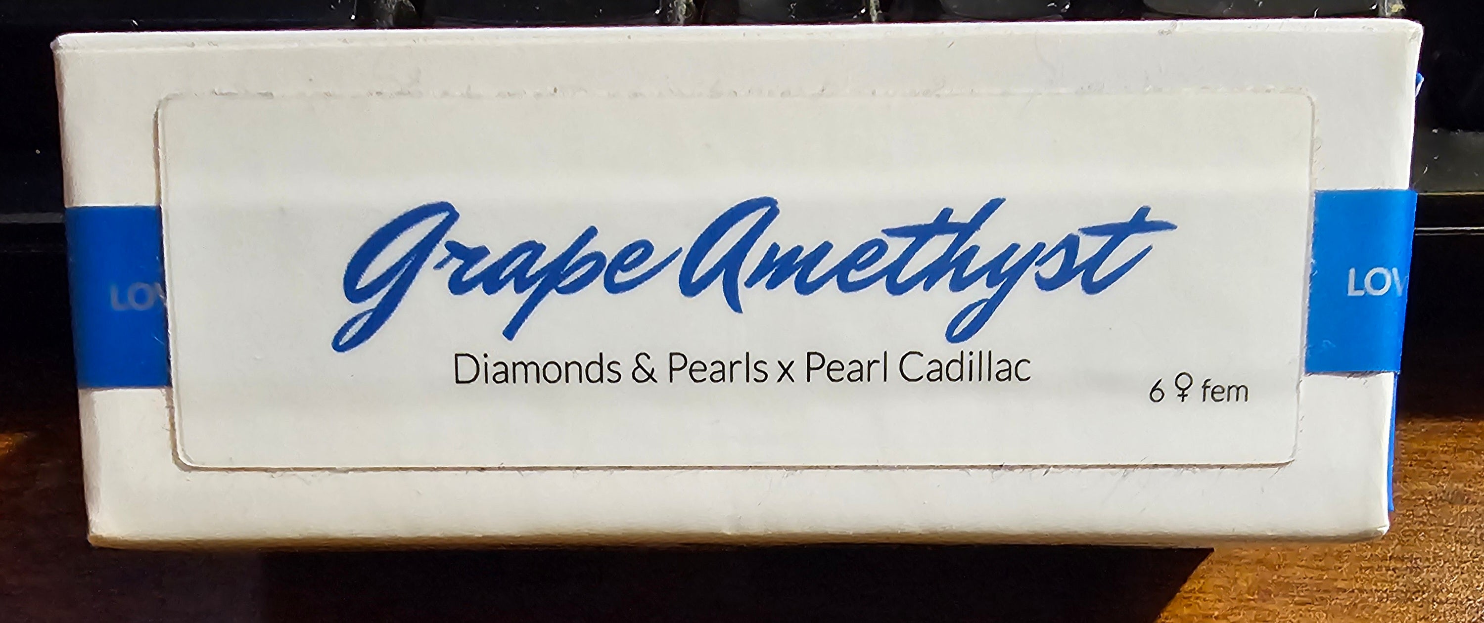 Grape Amethyst - Lovin' in her Eyes - 6 Photo FEMS